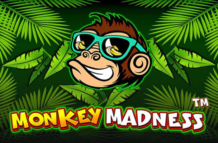 Slot Monkey Madness Slot Sederhana 9 Payline yang Menyenangkan