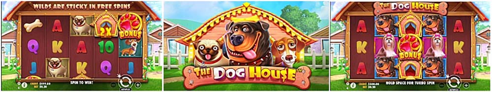 Cara Bermain Slot The Dog House